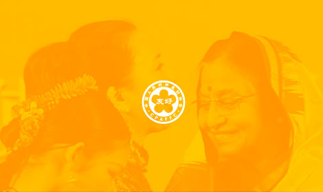 中國人民對外友好
協會官網網站開發